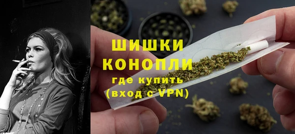стаф Бронницы