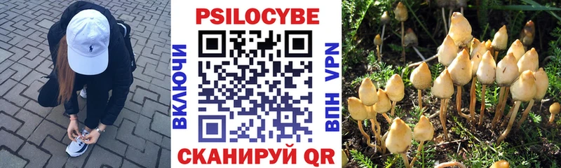Галлюциногенные грибы GOLDEN TEACHER  Кореновск 